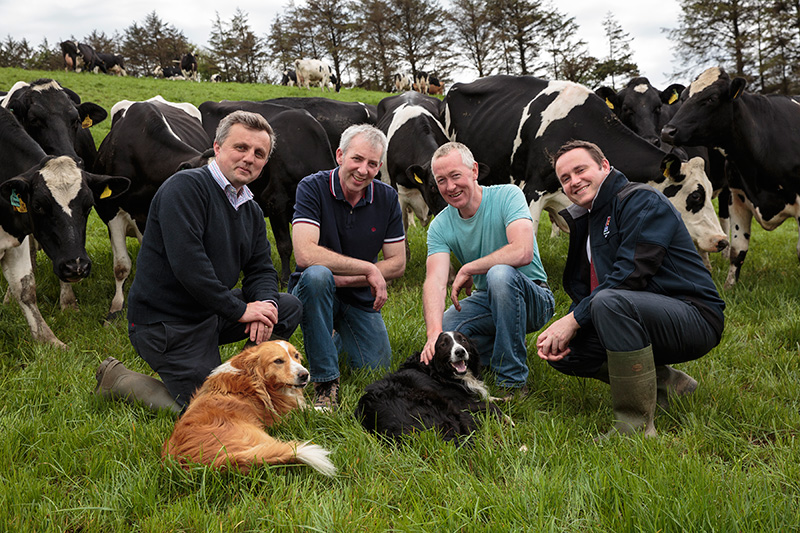 Irish Grassland - Dairy Summer Tour 2016