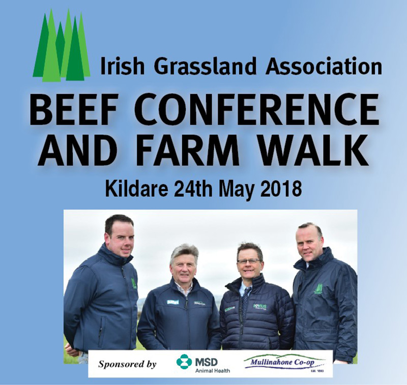 Beef Conf & Farm Walk Review 2018