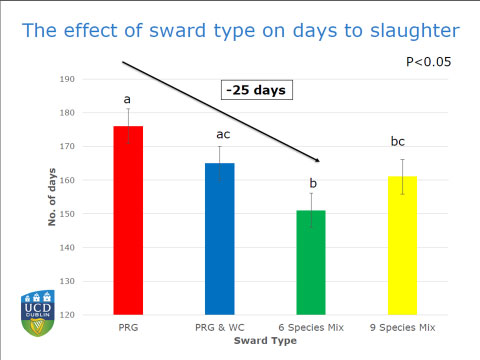 Irish Grassland - The effect of sward type on days to slaughter