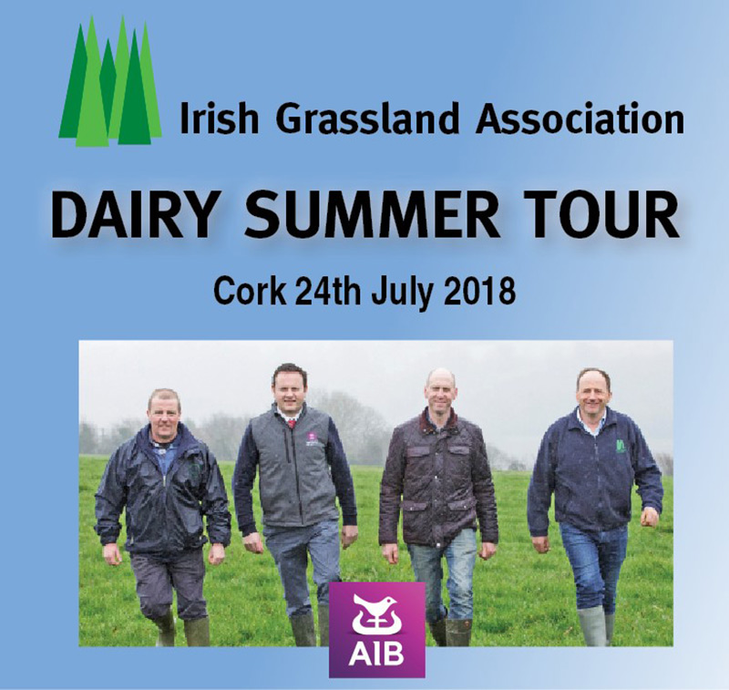 Dairy Summer Tour