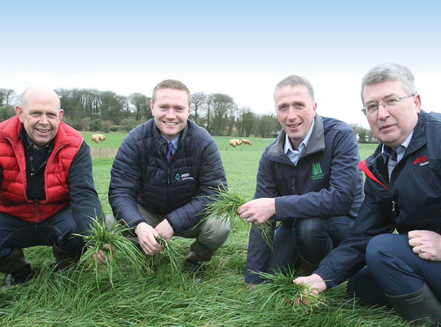 IGA sheep conference & farm walk