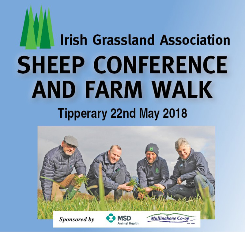 Sheep Conf & Farm Walk Review 2018