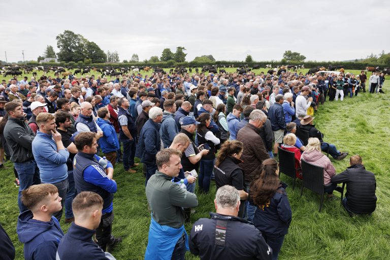 IGA Dairy Summer Tour 2025 