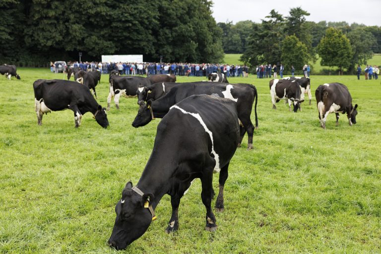 IGA Dairy Summer Tour 2025 