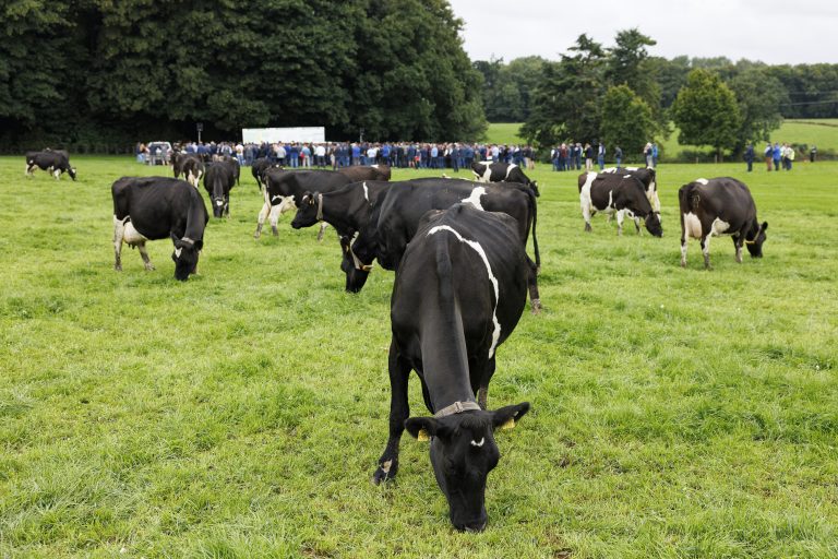 IGA Dairy Summer Tour 2025 