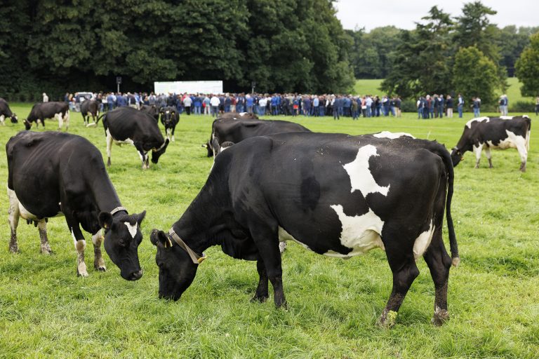 IGA Dairy Summer Tour 2025 