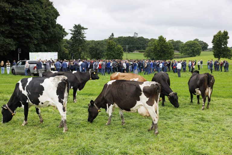 IGA Dairy Summer Tour 2025 