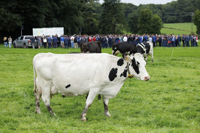 IGA Dairy Summer Tour 2025 