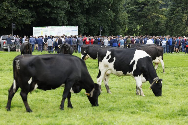 IGA Dairy Summer Tour 2025 