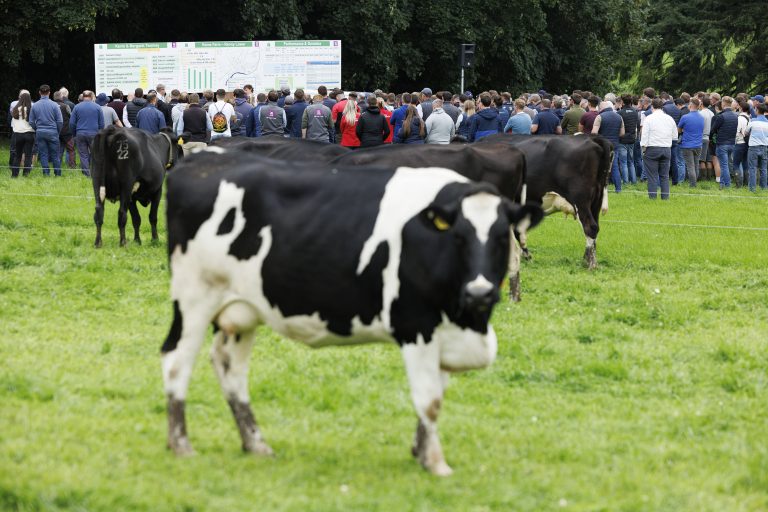 IGA Dairy Summer Tour 2025 