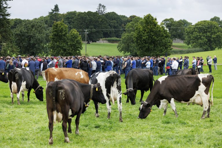 IGA Dairy Summer Tour 2025 