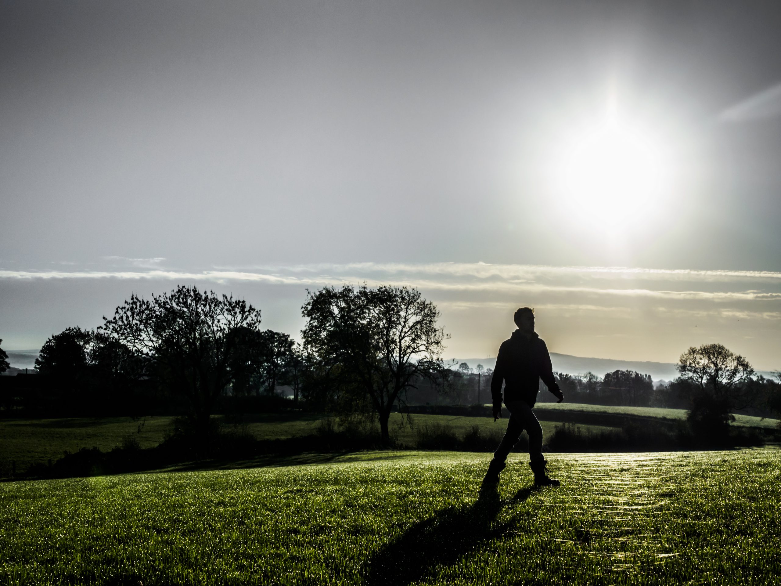 Online Webinar – Managing your health and your wealth